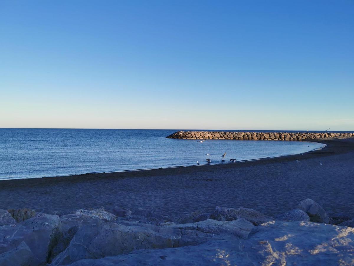 Spacieux Appartement Front De Mer سانت ماري دو لا مير المظهر الخارجي الصورة